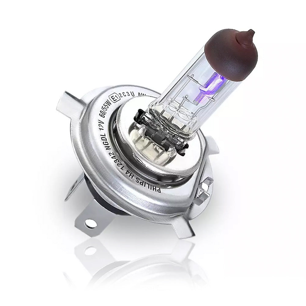 Praesent in erat faucibus elementum augue sed fringilla