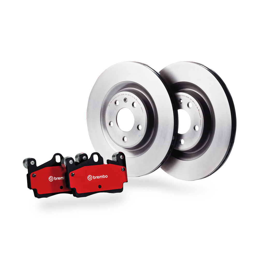 Suspendisse vitae orci iaculis lobortis purus molestie