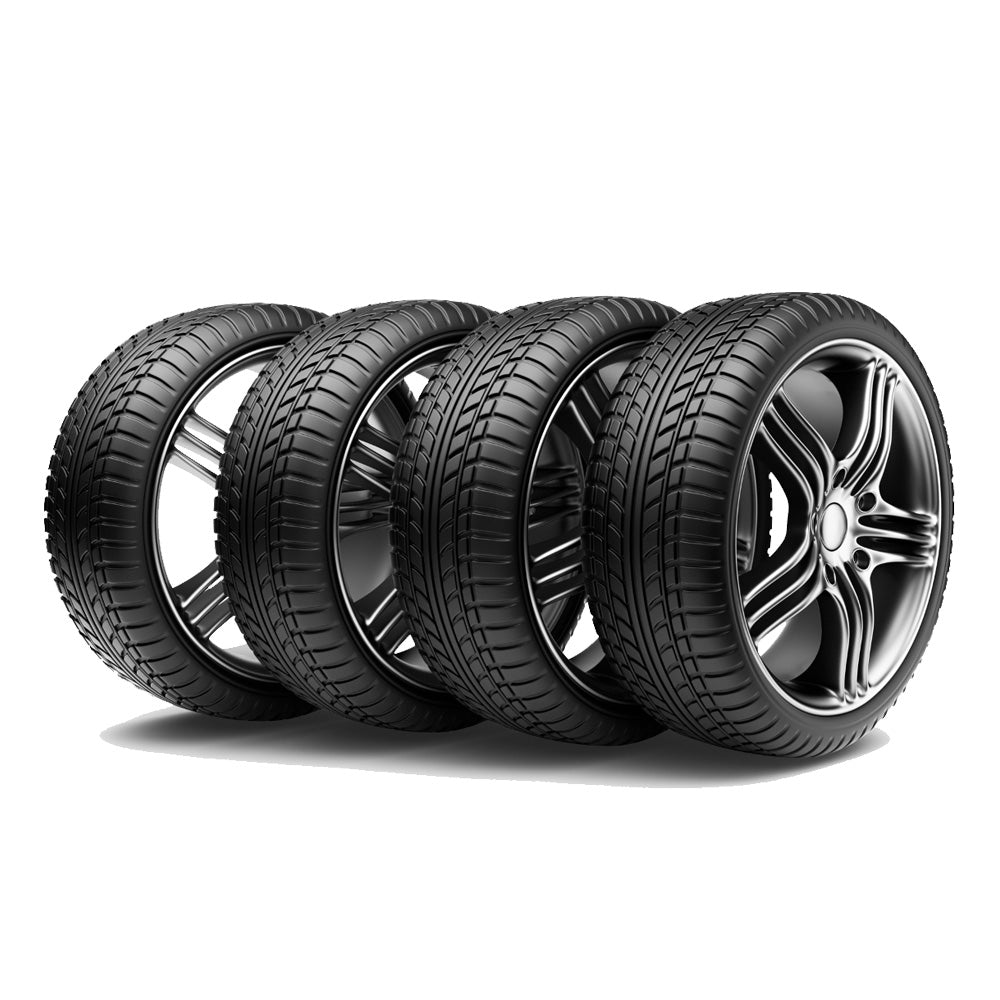 Suspendisse quis urna et nisl venenatis accumsan