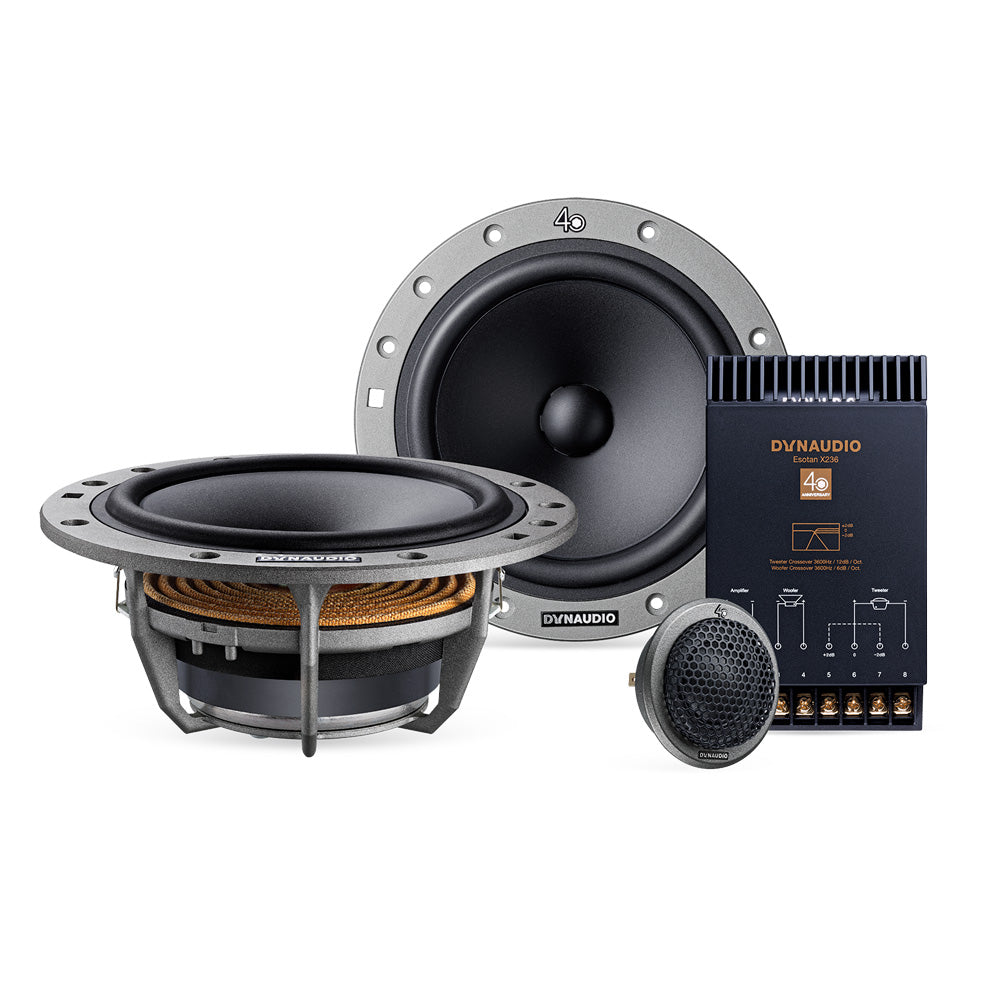 Vestibulum elementum ligula non sem maximus ornare leo