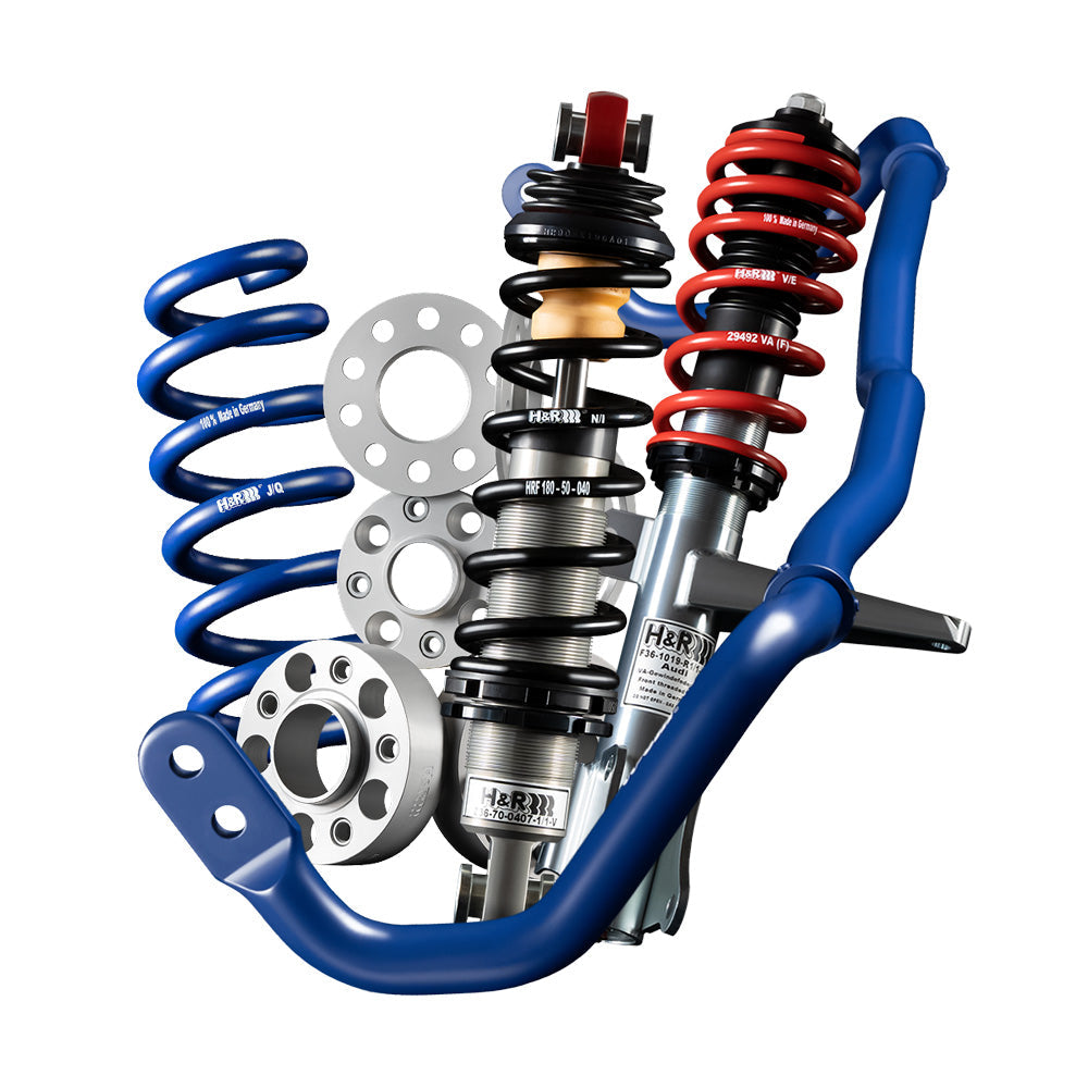 Aenean tempus orci non felis pharetra scelerisque dapibus